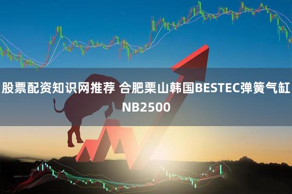 股票配资知识网推荐 合肥栗山韩国BESTEC弹簧气缸NB2500