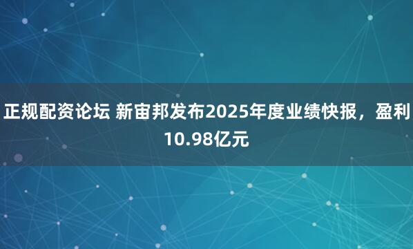 正规配资论坛 新宙邦发布2025年度业绩快报，盈利10.98亿元