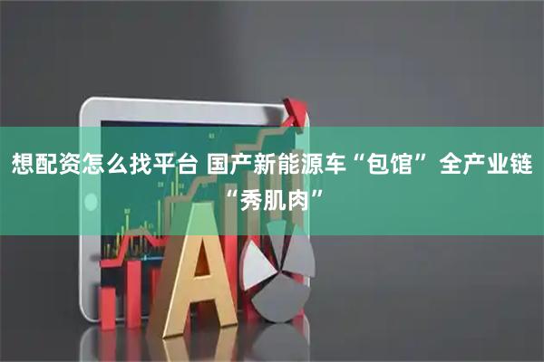想配资怎么找平台 国产新能源车“包馆” 全产业链“秀肌肉”